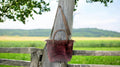 Full Grain Real Leather Zipper Rushmore Red RokStar Crossbody or Shoulder Bag Purse