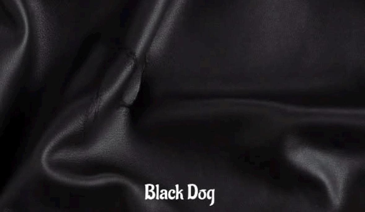 Full Grain Authentic Leather Pet Dog Poop Waste Pouch Bag Keychain